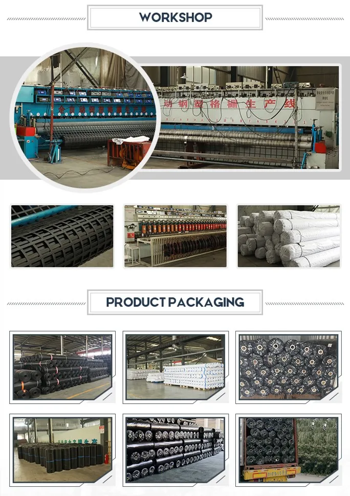Wysoka wytrzymałość na napięcie Biaxial Welding Steel Plastic Composite Earthwork Geogrid For Soil Stabilization Funkcja antyerozyjna 5