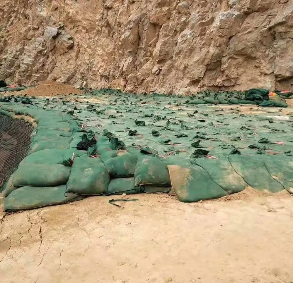 Przemysł 40*80cm Geotextile Geobag do ochrony zbocza autostrady Geotextile Geobag zalesianie sadzenie trawy Kontrola powodzi Geotextile Geobag 6