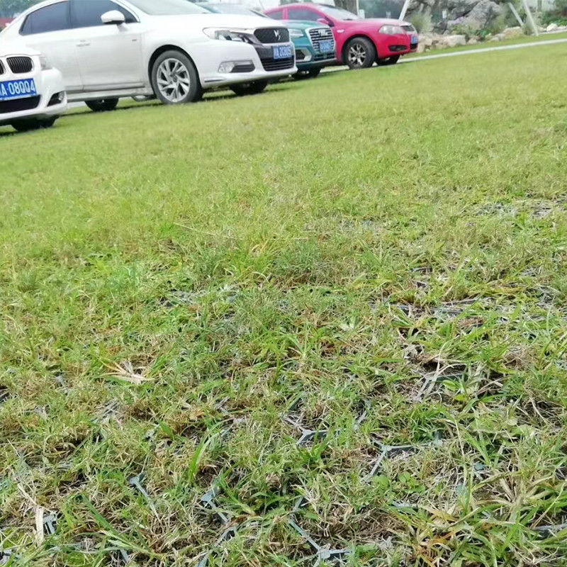 200ton / Sqm Blokująca murawa Plastikowa siatka parkingowa do zbrojenia parkingu