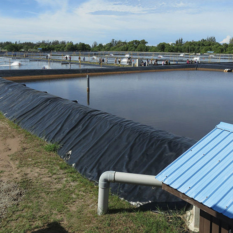 Wodotwórcze HDPE Geomembrane Pond Liner For Water Tanks Fish Shrimp Farm 0.2 - 2.5mm