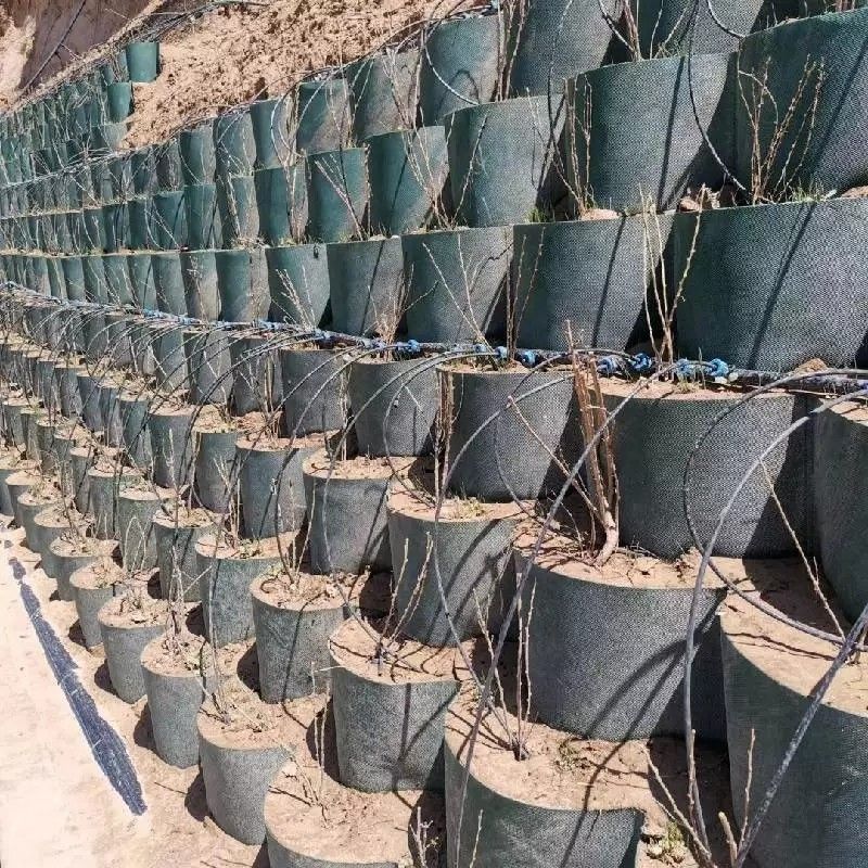 Odporna na korozję sieć naziemna z geocell z tworzyw sztucznych HDPE stosowana w budowie dróg