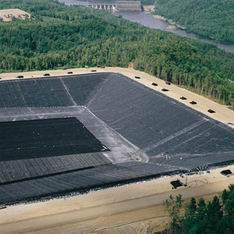 0.3mm/0.5mm/0.75mm/1mm/1.5mm/2mm Czarna membranowa arkusz z tworzyw sztucznych HDPE LDPE LLDPE Virgin Geomembrane Liner for Shrimp Fish F