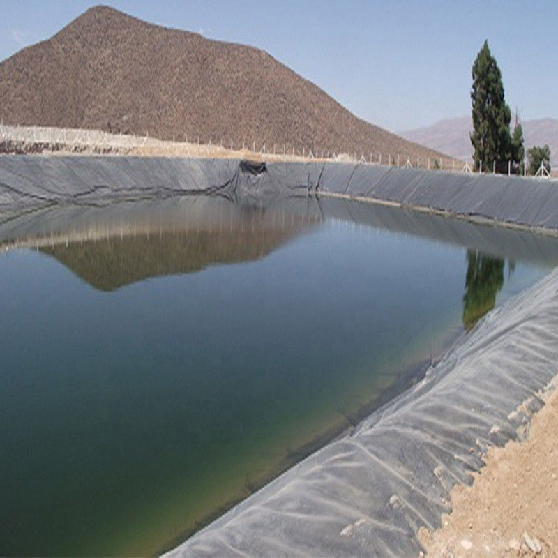 0.3mm/0.5mm/0.75mm/1mm/1.5mm/2mm Czarna membranowa arkusz z tworzyw sztucznych HDPE LDPE LLDPE Virgin Geomembrane Liner for Shrimp Fish F