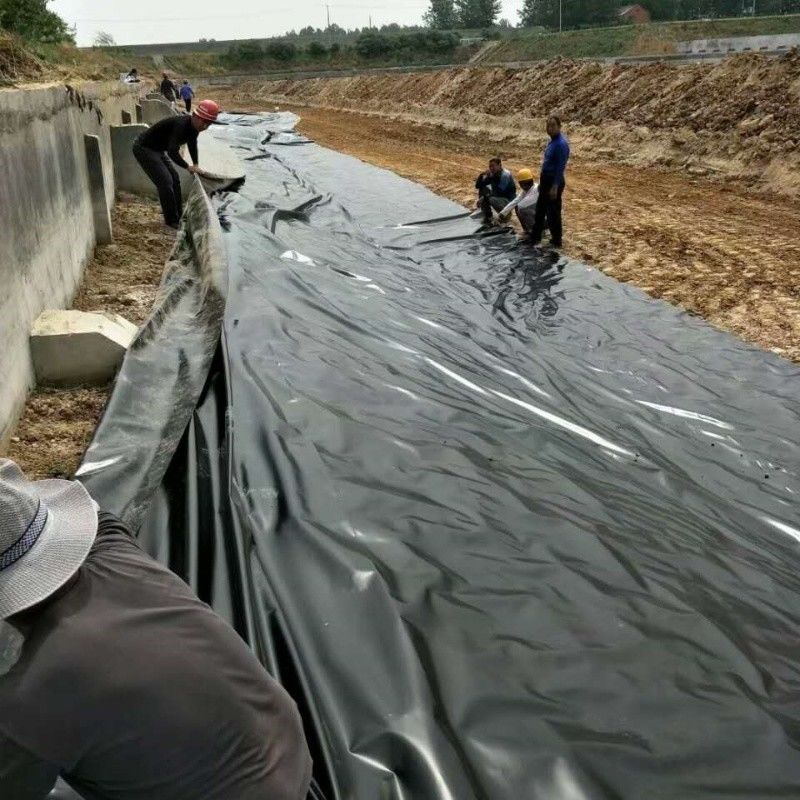 0.5mm 1mm 1.5mm Plastikowe wodoodporne Akwakultura Geomembrana Hdpe Liner Rybia Rybacy Sprzedaż hurtowa Geomembrana Liner stawu