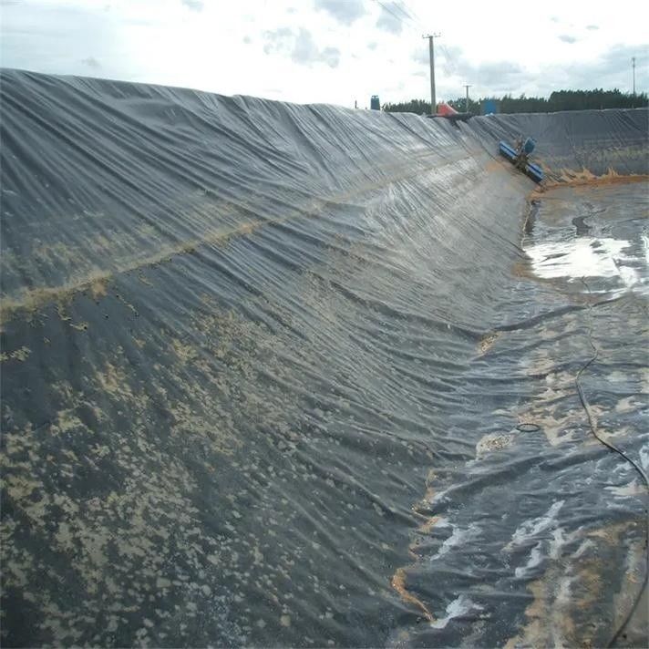 HDPE Geomembrane Waterproofing Liner / Pool Liner / Georid Road Construction Material Landfill Biogas Digester