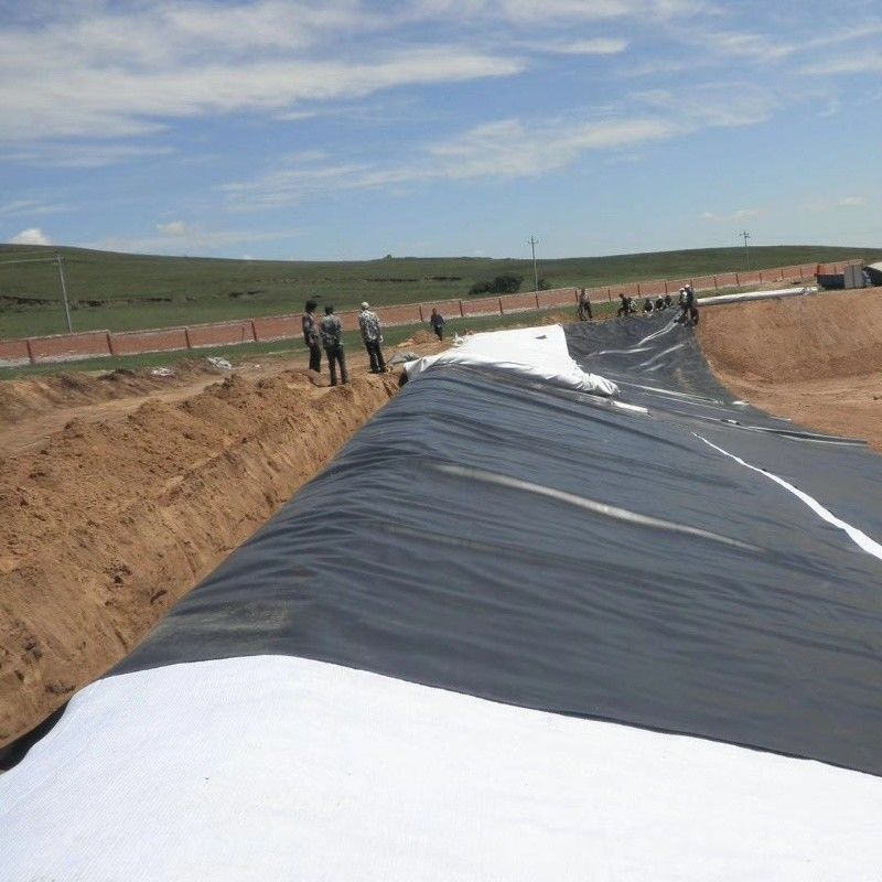 HDPE Geomembrane Waterproofing Liner / Pool Liner / Georid Road Construction Material Landfill Biogas Digester