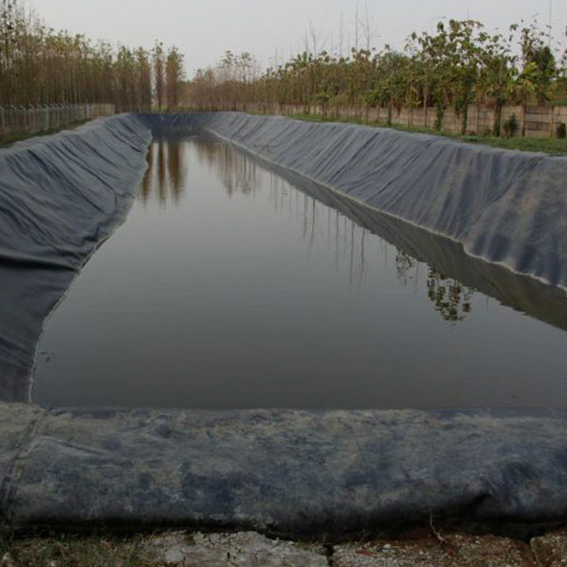 100% materiał dziewiczy ASTM Standard GM13 HDPE Geomembrane Liner 0.3mm 0.5mm 1.0mm 1.5mm 2.0mm Do składowni / jeziora krewetkowego