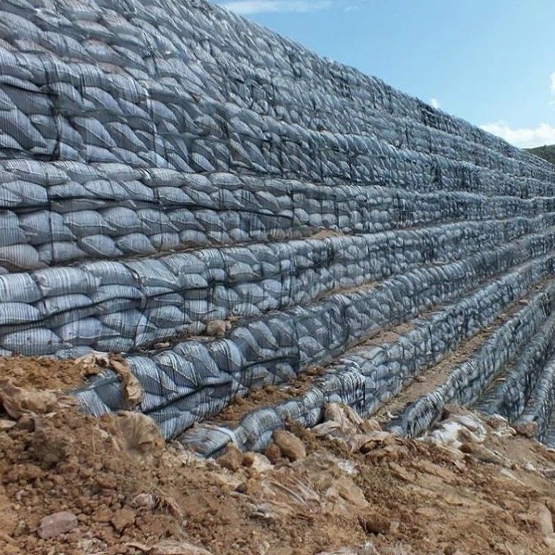 Geo Grid Ground Grid Plastic Uniaxial Polyester Geogrid Uniaxial Gravel Grid Ground dla piwnicy podjazdu