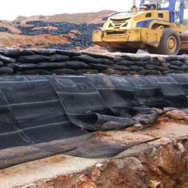 Geo Grid Ground Grid Plastic Uniaxial Polyester Geogrid Uniaxial Gravel Grid Ground dla piwnicy podjazdu