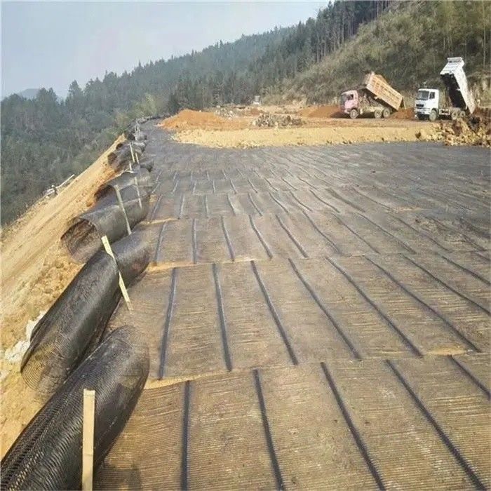 Geo Grid Ground Grid Plastic Uniaxial Polyester Geogrid Uniaxial Gravel Grid Ground dla piwnicy podjazdu