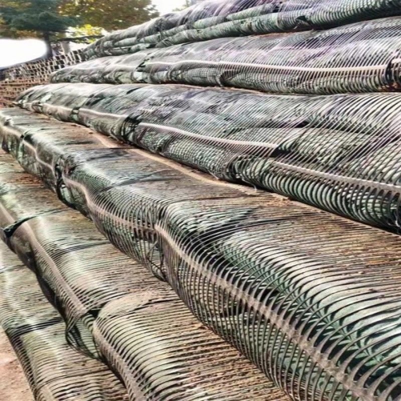 Geo Grid Ground Grid Plastic Uniaxial Polyester Geogrid Uniaxial Gravel Grid Ground dla piwnicy podjazdu