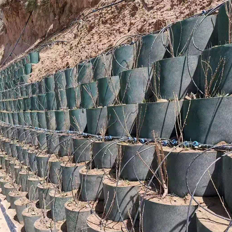 Teksturowany wysokiej komórki system zamknięcia pszczeli miodnych HDPE Geocell dla dróg Fundacja Ochrona zbocza Parking Driveway mur oporowy
