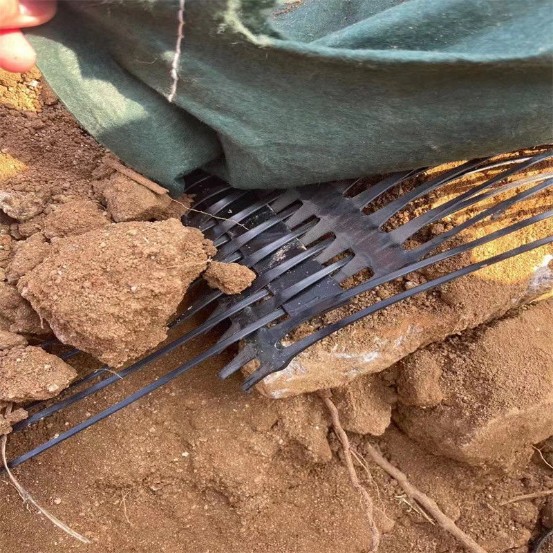 PP Plastic PE Jednostronne jednosiowe poliester Geogrid Gravel Grid Stabilizator gruntu do wzmocnienia gleby