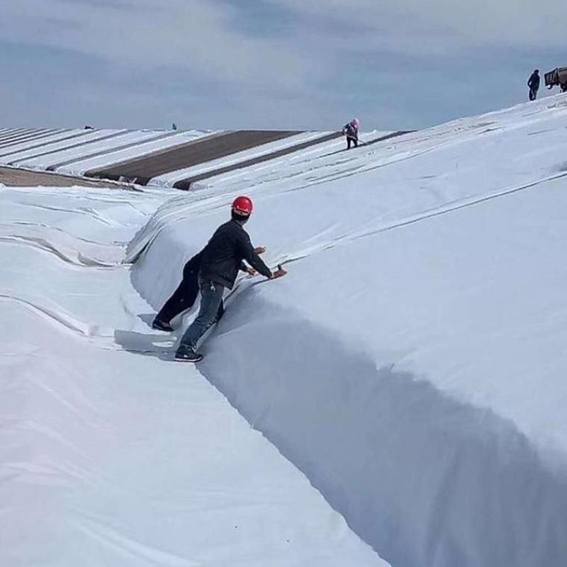 Biały Czarny Nietknięte igły Perforated Geotextile PET PP dla dróg, autostrad i kolei