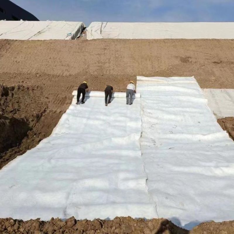 Biały Czarny Nietknięte igły Perforated Geotextile PET PP dla dróg, autostrad i kolei