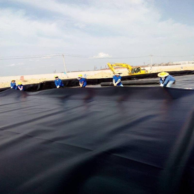 Wytrzymały czarny płytkowy płytkowy płytkowy płytkowy płytkowy płytkowy płytkowy płytkowy płytkowy płytkowy płytkowy płytkowy płytkowy płytkowy płytkowy płytkowy płytkowy płytkowy płytkowy płytkowy płytkowy płytkowy płytkowy płytkowy płytkowy płytkowy płytkowy płytkowy płytkowy płytkowy płytkowy płytkowy płytkowy płytkowy płytkowy płytkowy płytkowy płytkowy płytkowy płytkowy płytkowy płytkowy płytkowy płytkowy płytkowy płytkowy płytkowy płytkowy płytkowy płytkowy płytkowy płytkowy płytkowy płytk