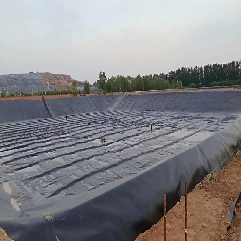 Zamówione HDPE LDPE LLDPE PVC Geomembranes Włócznik stawu dla ryb i krewetek Włócznik stawu i wzmocniony polietylen
