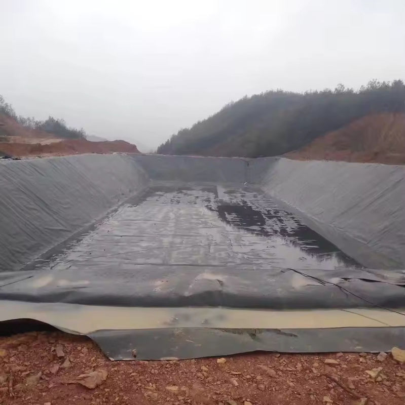 Long-Lasting Anti-UV Geomembrane Pond Liner Fish Farm Black Film for Dam Artificial Lake Use