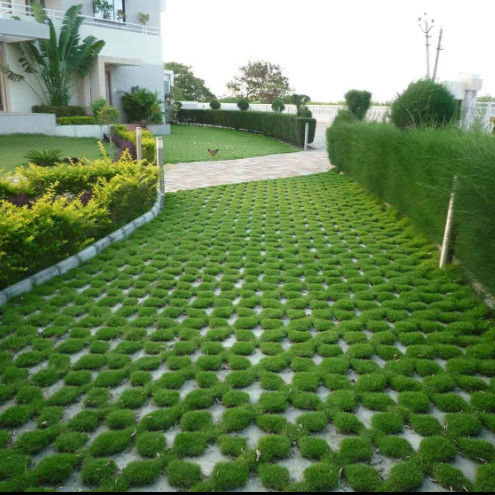 Plastikowa sieć trawy dla parkingu Wylot z ognia HDPE Paver Geogrid dla krajobrazu Ziemia Geocell Żwir Paddock Grid