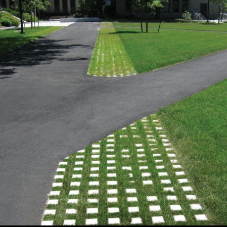 Plastikowa sieć trawy dla parkingu Wylot z ognia HDPE Paver Geogrid dla krajobrazu Ziemia Geocell Żwir Paddock Grid