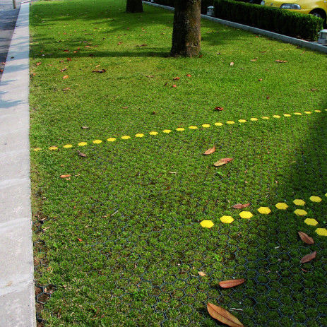Plastikowa sieć trawy dla parkingu Wylot z ognia HDPE Paver Geogrid dla krajobrazu Ziemia Geocell Żwir Paddock Grid
