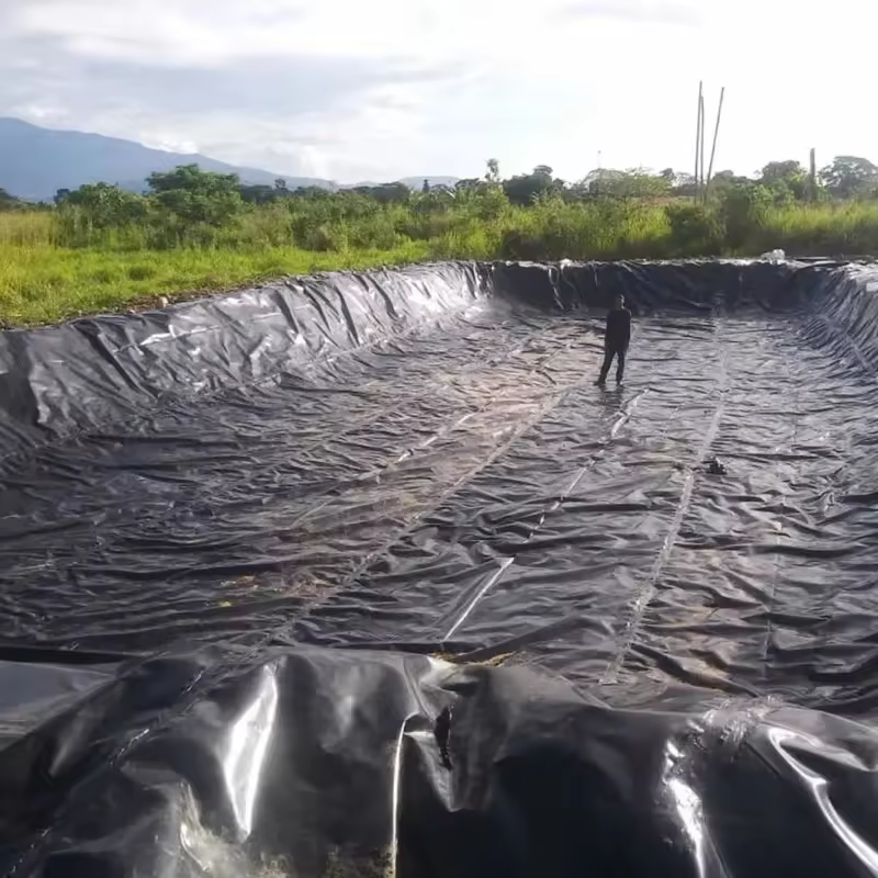 Waterproof Agricultural Pond Liners 0.5mm 1.5mm 2mm HDPE Geomembrane for Fish Pond Liner Shrimp Farming Tanks Dam Liner