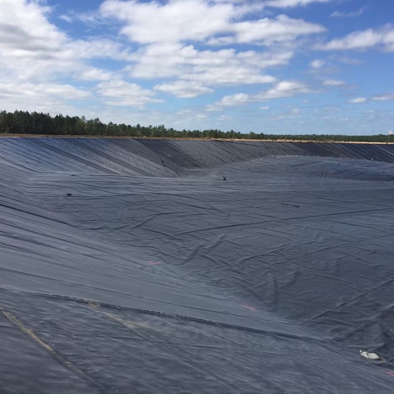 /Twarda czarna liner Hdpe / wodoodporny liner stawu / geomembrana polietylenowy /