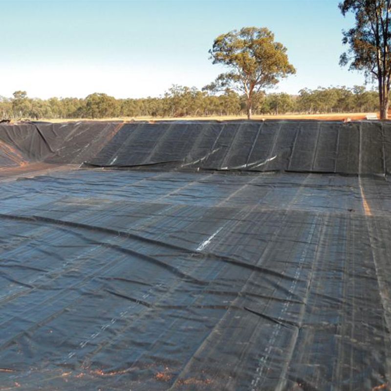 /Twarda czarna liner Hdpe / wodoodporny liner stawu / geomembrana polietylenowy /