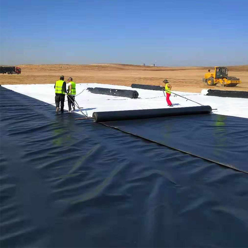 0.3mm/0.4mm/0.6mm/0.75mm/1mm/1.4mm/1.5mm 20mil 30mil 40mil HDPE Geomembrane Pond Liner /Geomembrane Producent