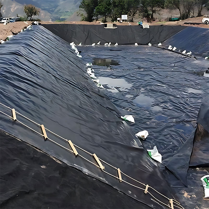 0.3mm/0.4mm/0.6mm/0.75mm/1mm/1.4mm/1.5mm 20mil 30mil 40mil HDPE Geomembrane Pond Liner /Geomembrane Producent