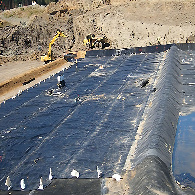 0.3mm/0.4mm/0.6mm/0.75mm/1mm/1.4mm/1.5mm 20mil 30mil 40mil HDPE Geomembrane Pond Liner /Geomembrane Producent
