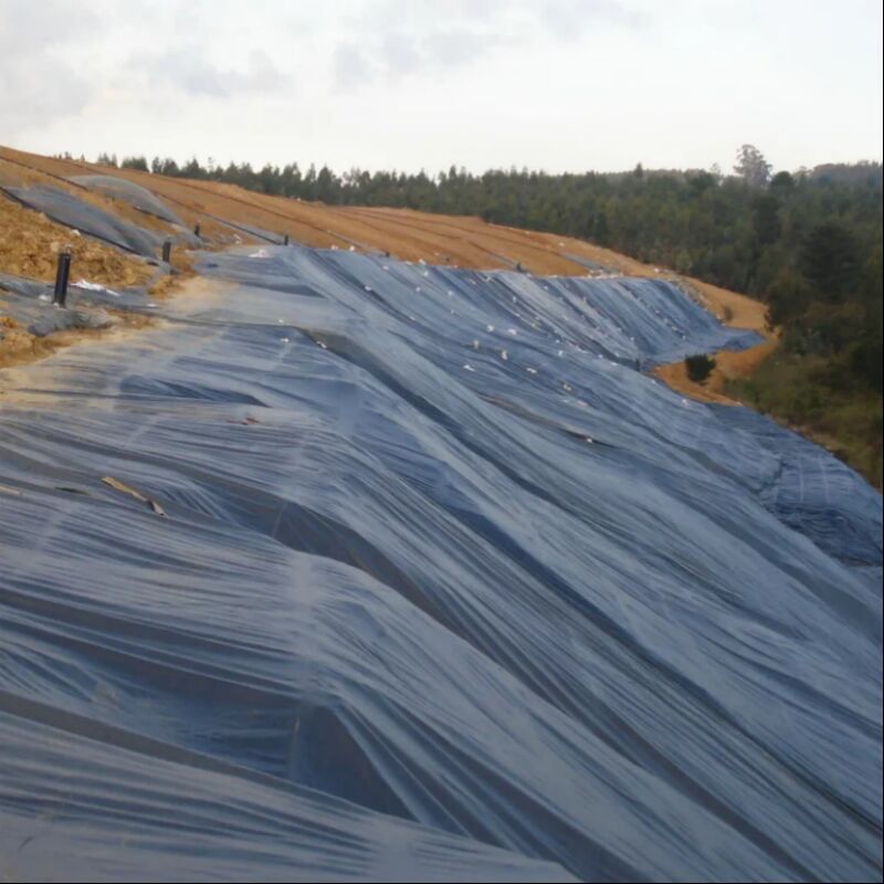 Bezwodność Gładka powierzchnia Włoki stawów rolniczych Ryby Rybactwo krewetek Sztuczne jezioro Wysypiska HDPE Geomembrana